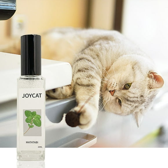 Spray Cat