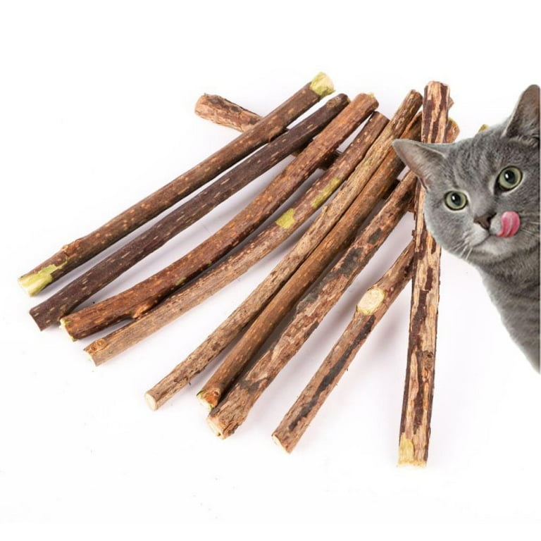 Catnip Sticks Pure Natural Wood Polygonum Sticks as Dental Treat for Teeth Cleaning Cat Toy for Healthy Teeth