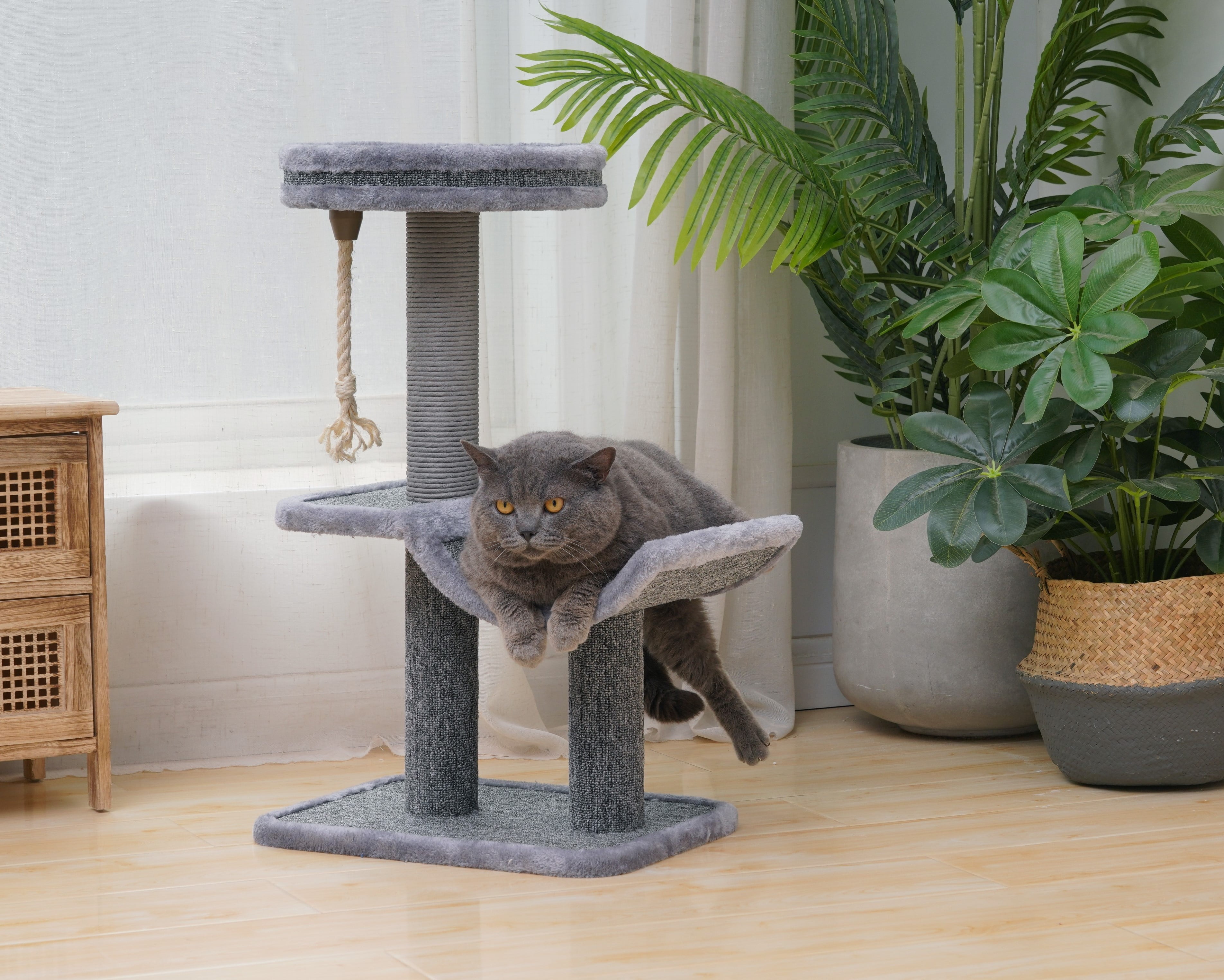 Catry 28" Gray Small Cat Tree With Scratching Post Cozy Cat Hammock and