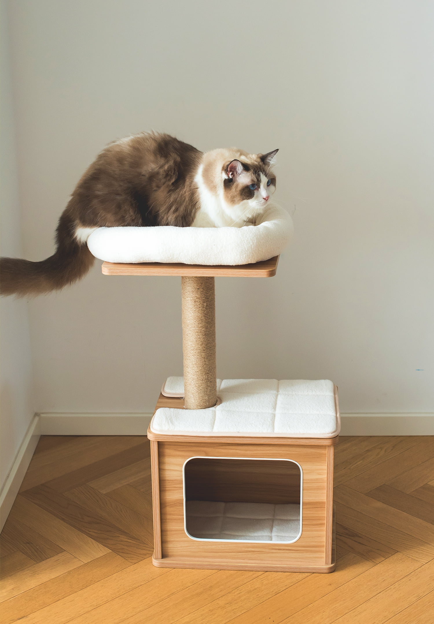 Free cat tree hotsell