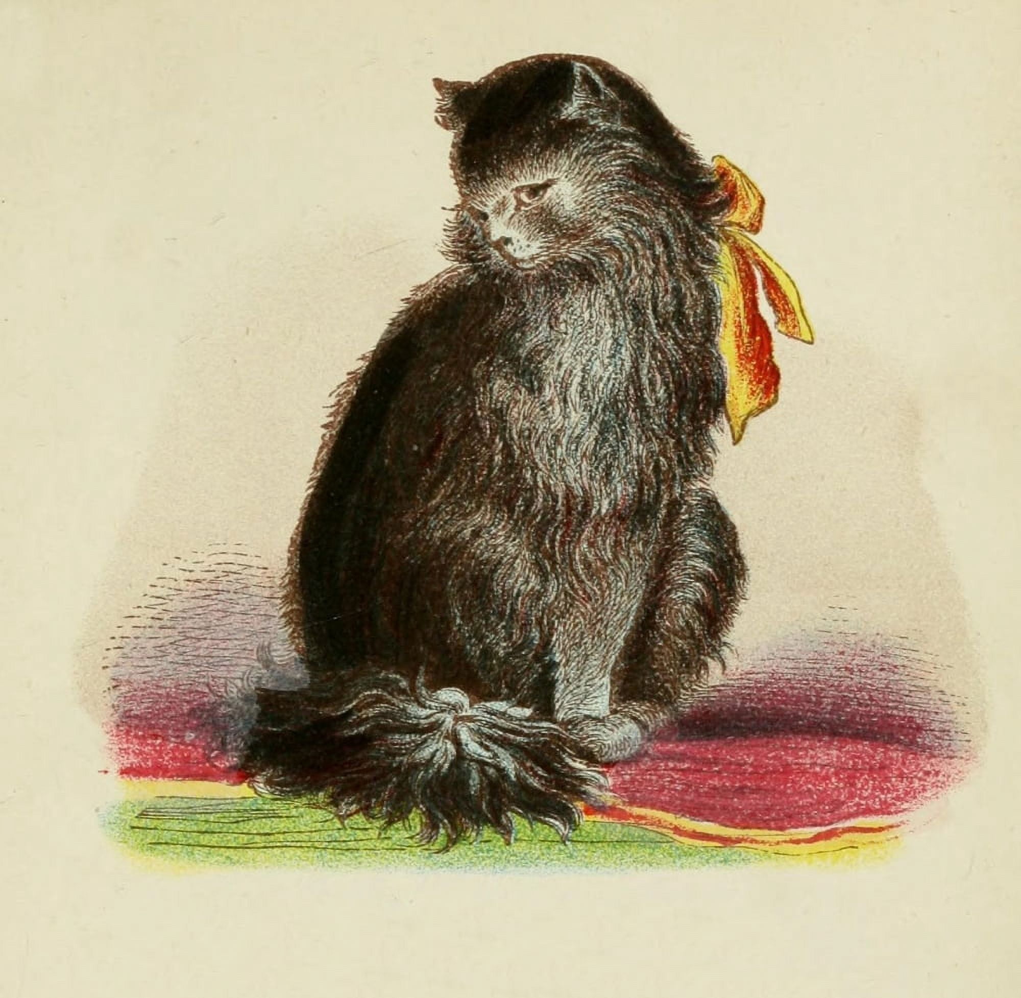 Cats 1877 Long-haired black Canvas Art - Unknown (24 x 36)