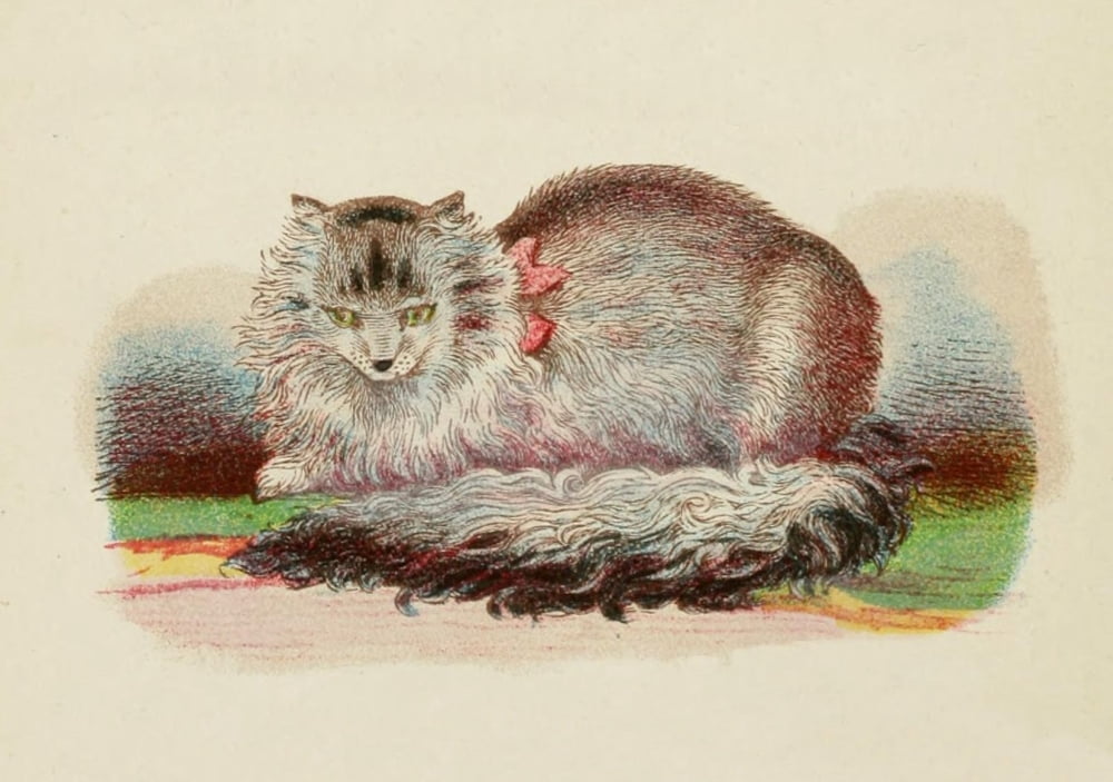 Cats 1877 Persian Canvas Art - Unknown (24 x 36)
