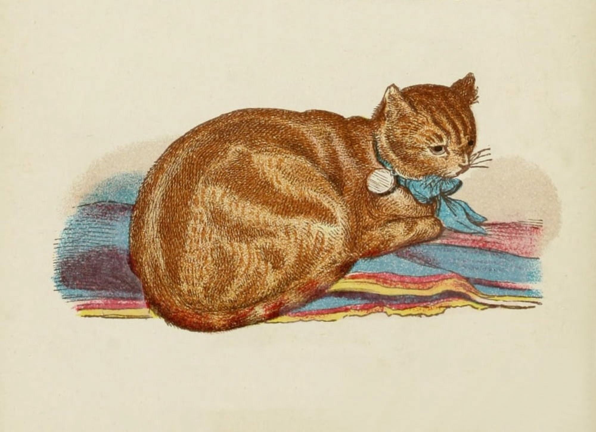 Cats 1877 Red Tabby Canvas Art - Unknown (18 x 24)