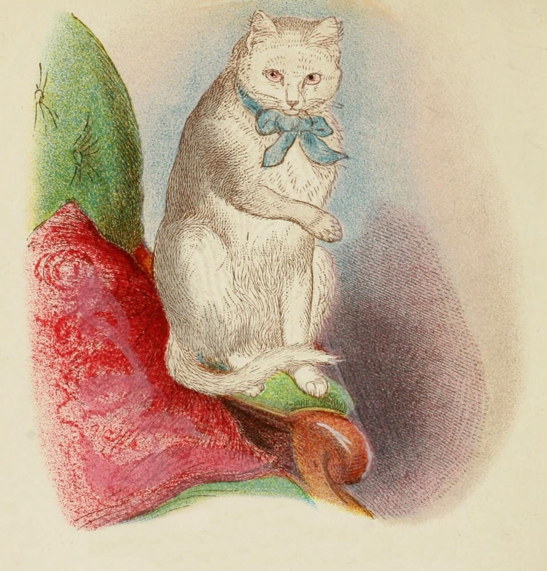 Cats 1877 White Canvas Art - Unknown (18 x 24)
