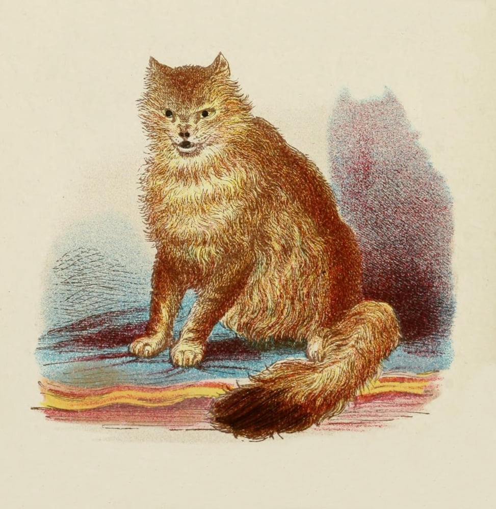 Cats 1877 Wild Cat Canvas Art - Unknown (18 x 24)