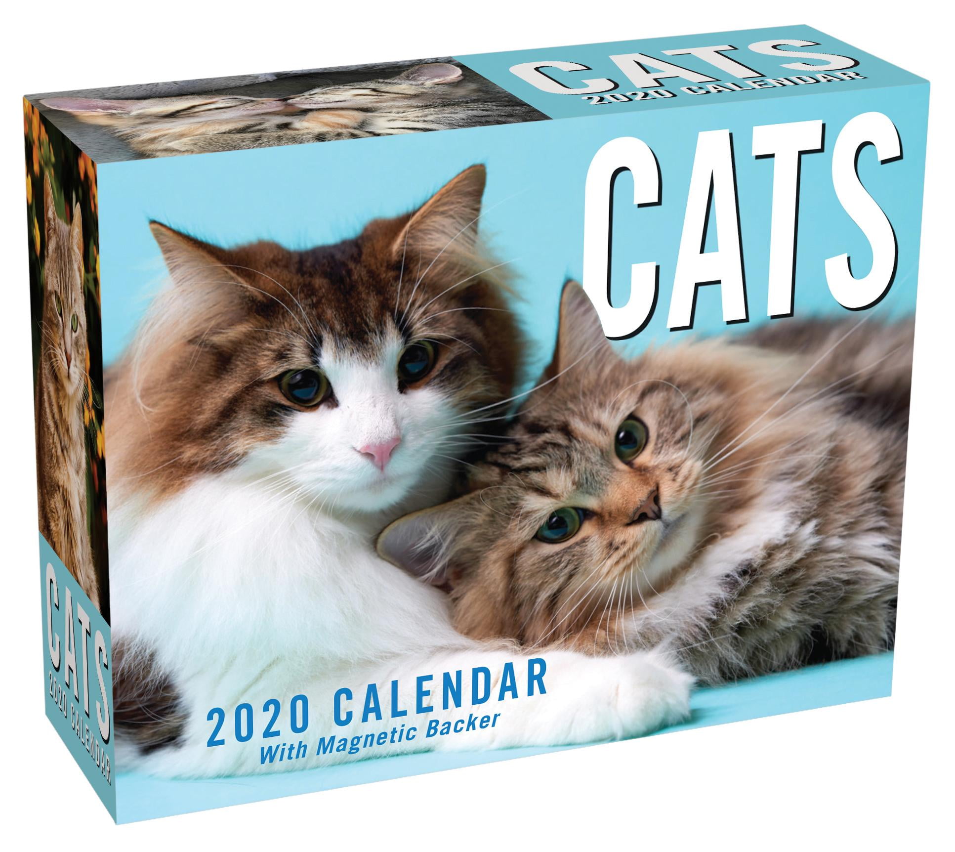 Cats 2020 Mini DayToDay Calendar (Other)