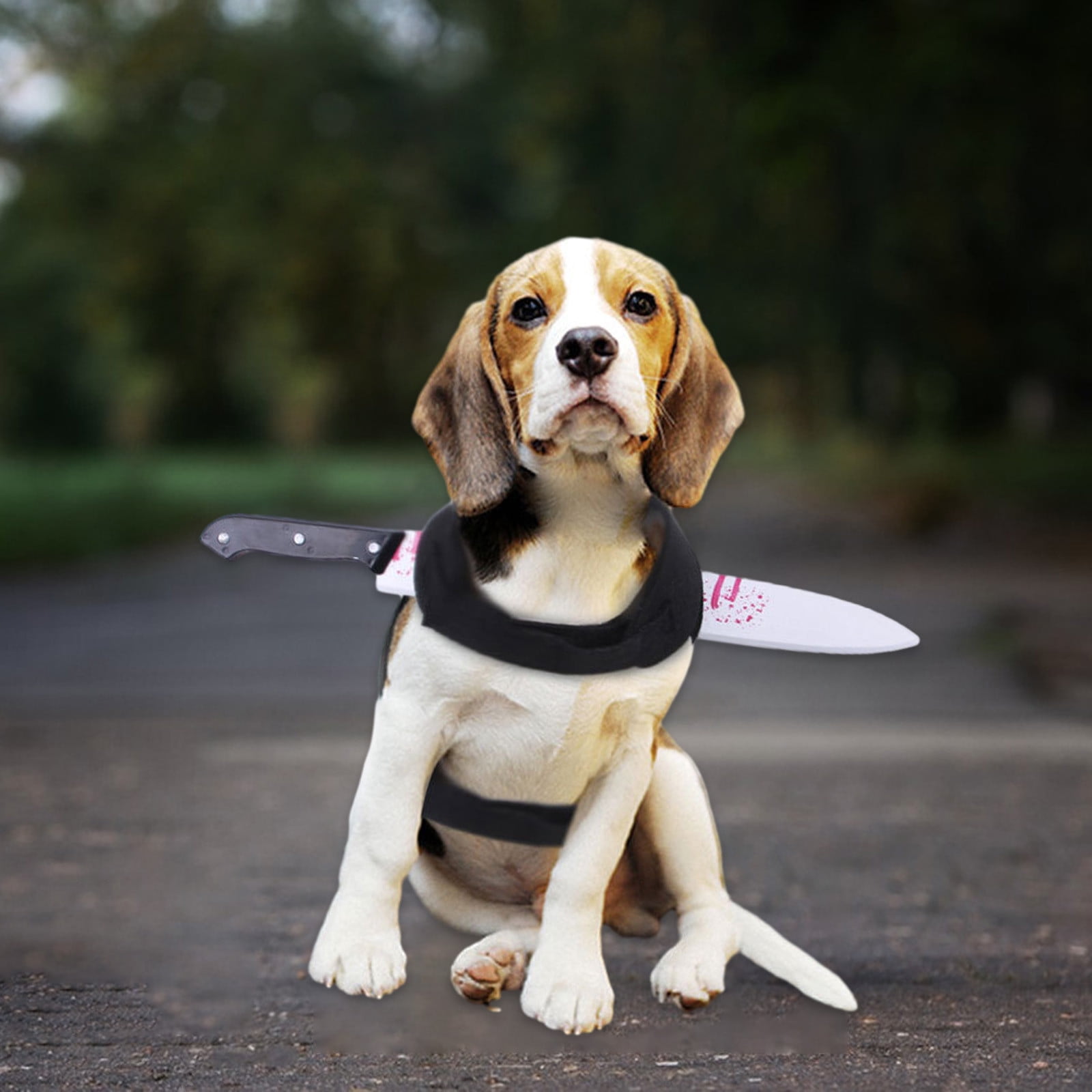 Cats And Dog Costumes Chest And Back Spoof Straps Kitchen Knives