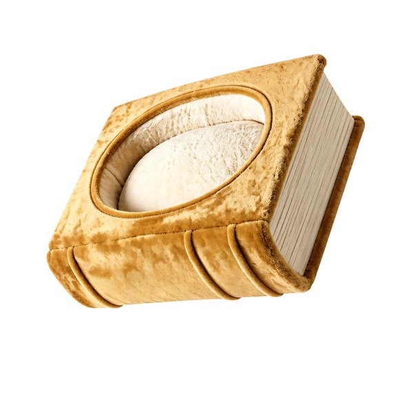 Cats Bed with Raised Side and Recessed Center, Styled 3D Book Shape, with Soft Warm Fabric for Sleep and Curling Up