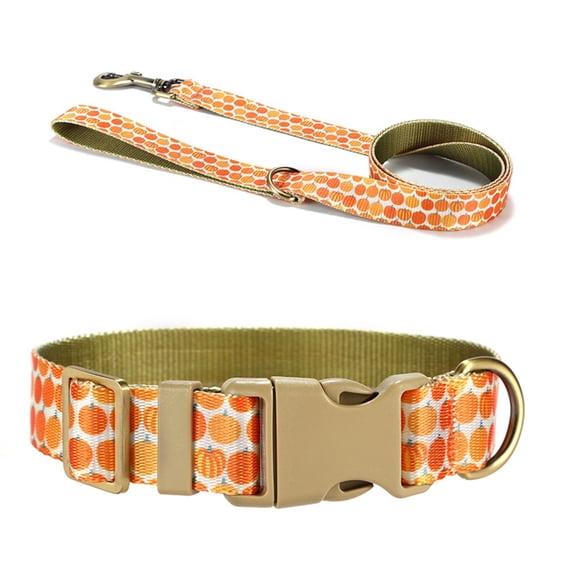 Cats Collar and Leash Set for Training Walking Belt for Large Medium Small Cats