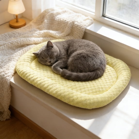 Cats Cooling Mat for Summer and All Seasons Non Stick Pet Pad for Small Cats Dogs Up to 5 lbs Washable Portable Bed for Kennel Sofa Car Seat Indoor Outdoor Use Breathable Foldable Design Furniture