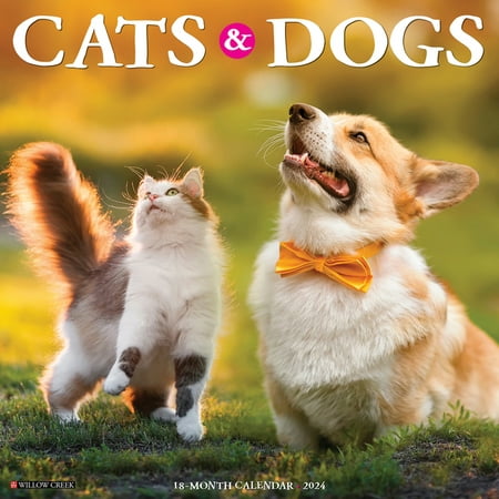 product image of Cats & Dogs 2024 12 X 12 Wall Calendar (Other)