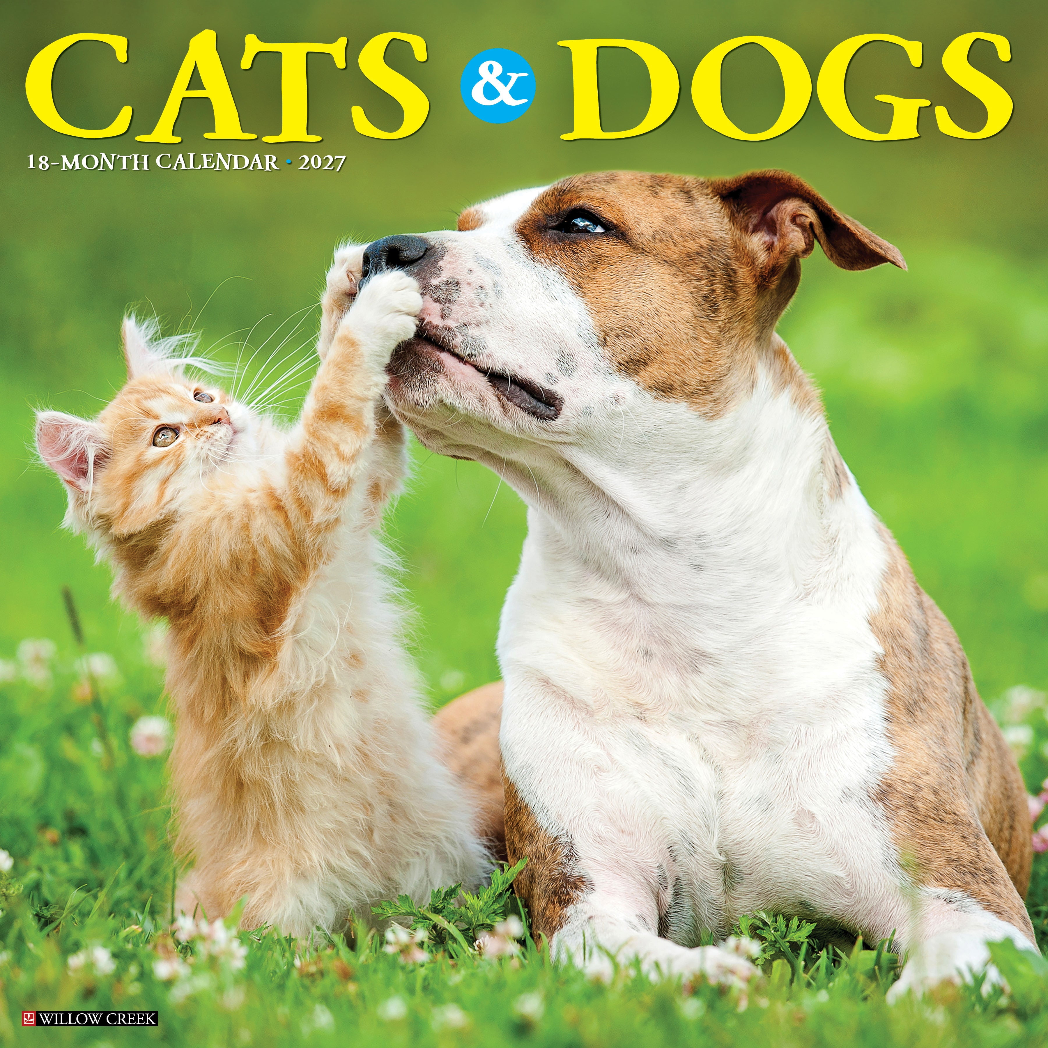 Willow Creek Press, Cats & Dogs 2027 Wall Calendar