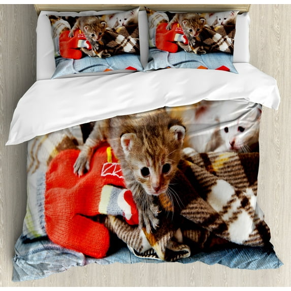 Cats Duvet Cover Set Queen Size, Kittens and Mittens Newborns Baby Animals in an Plain Blanket Wood Play Toys Adorable, Decorative 3 Piece Bedding Set with 2 Pillow Shams, Multicolor, by Ambesonne