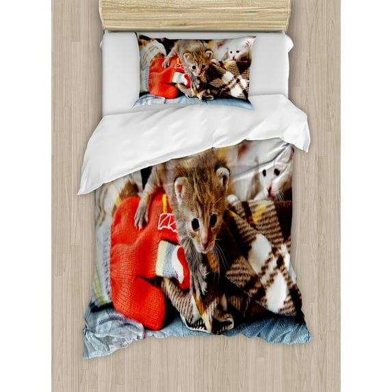Cats Duvet Cover Set Twin Size, Kittens and Mittens Newborns Baby Animals in an Plain Blanket Wood Play Toys Adorable, Decorative 2 Piece Bedding Set with 1 Pillow Sham, Multicolor, by Ambesonne