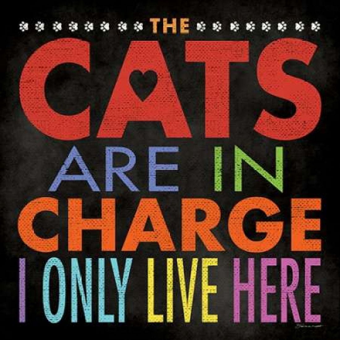 Cats In Charge Canvas Art - Stephanie Marrott (24 x 24)