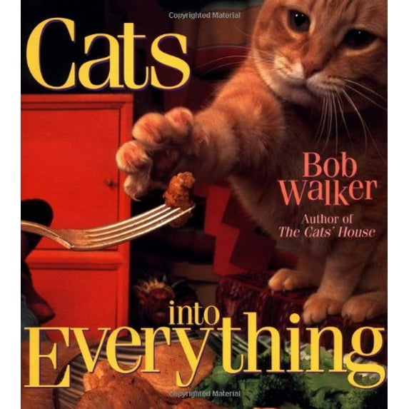 Pre-Owned Cats Into Everything (Hardcover) 0836269179 9780836269178