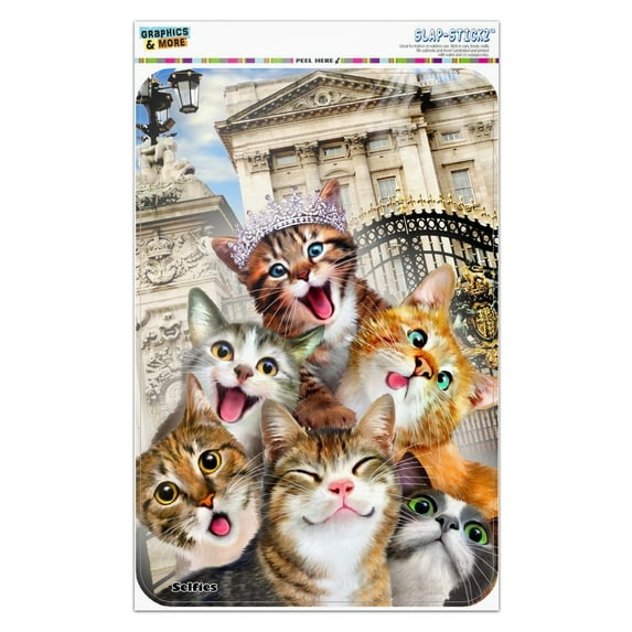 Cats Selfie at London Palace England Britain Home Business Office Sign