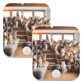 Cats Sofa Floor Window Night Lights Plug into Wall LED with Auto Light Sensor Warm Light for Kids Hallway Bedroom Living Room Kitchen Bathroom Set of 2
