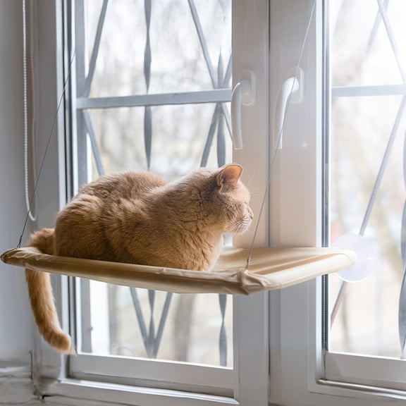 Cats Window Perch, Window cat Bed,Hammock, House, Equipped with Two Powerful Suction Cups, The Load-Bearing Capacity is Stronger, and The cat can Rest Assured to bask in The Sun