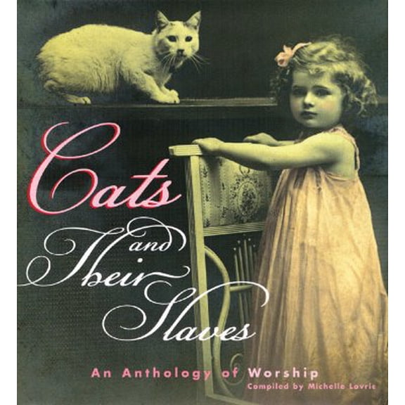 Pre-Owned Cats and Their Slaves : An Anthology of Worship (Hardcover)