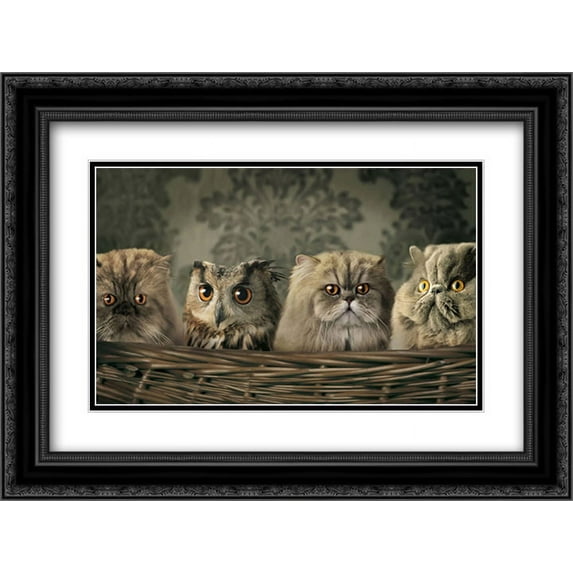 Cats and an Owl in a Basket 2x Matted 14x12 Black Ornate Framed Art Print
