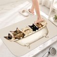 thumbnail image 1 of Cats in Bathtub Flannel Bath Mat 16x24 Inches, Soft Absorbent Non-Slip Bathroom Rug, Machine Washable Floor Mat for Shower, 1 of 7