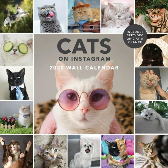 Cats on Instagram 2020 Wall Calendar : (Cat Wall Calendar, 2020 Wall Calendar, Cat Gifts for Cat Lovers) (Calendar)