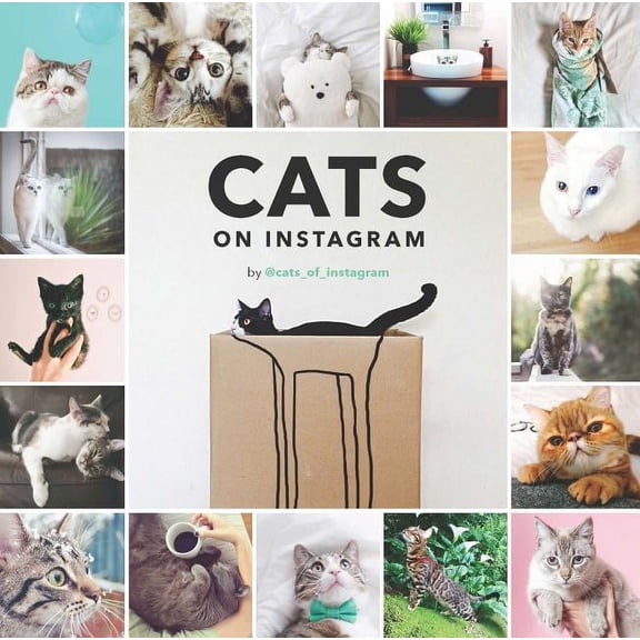 Cats on Instagram, (Hardcover)