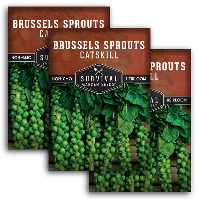 Catskill Brussels Sprouts Seeds - Full Sun Biennial Vegetable - 3 Packs ...