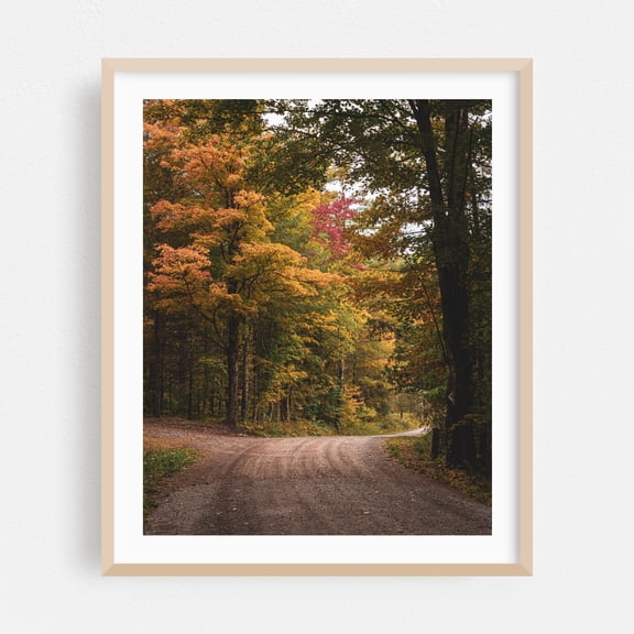 Catskills Autumn 02 - New York Photography Autumn Forest Nature Scenic Landscape Rural Rustic Oak Framed Wall Art Print 6 x 8 inches