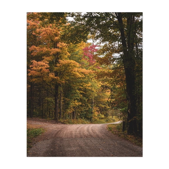 Catskills Autumn 02 - New York Photography Unframed Wall Art Print 8 x 10 inches