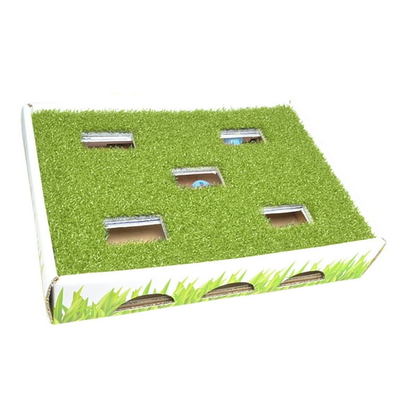 Catstages Grass Patch Hunting and Play Box Ball Cat Toy