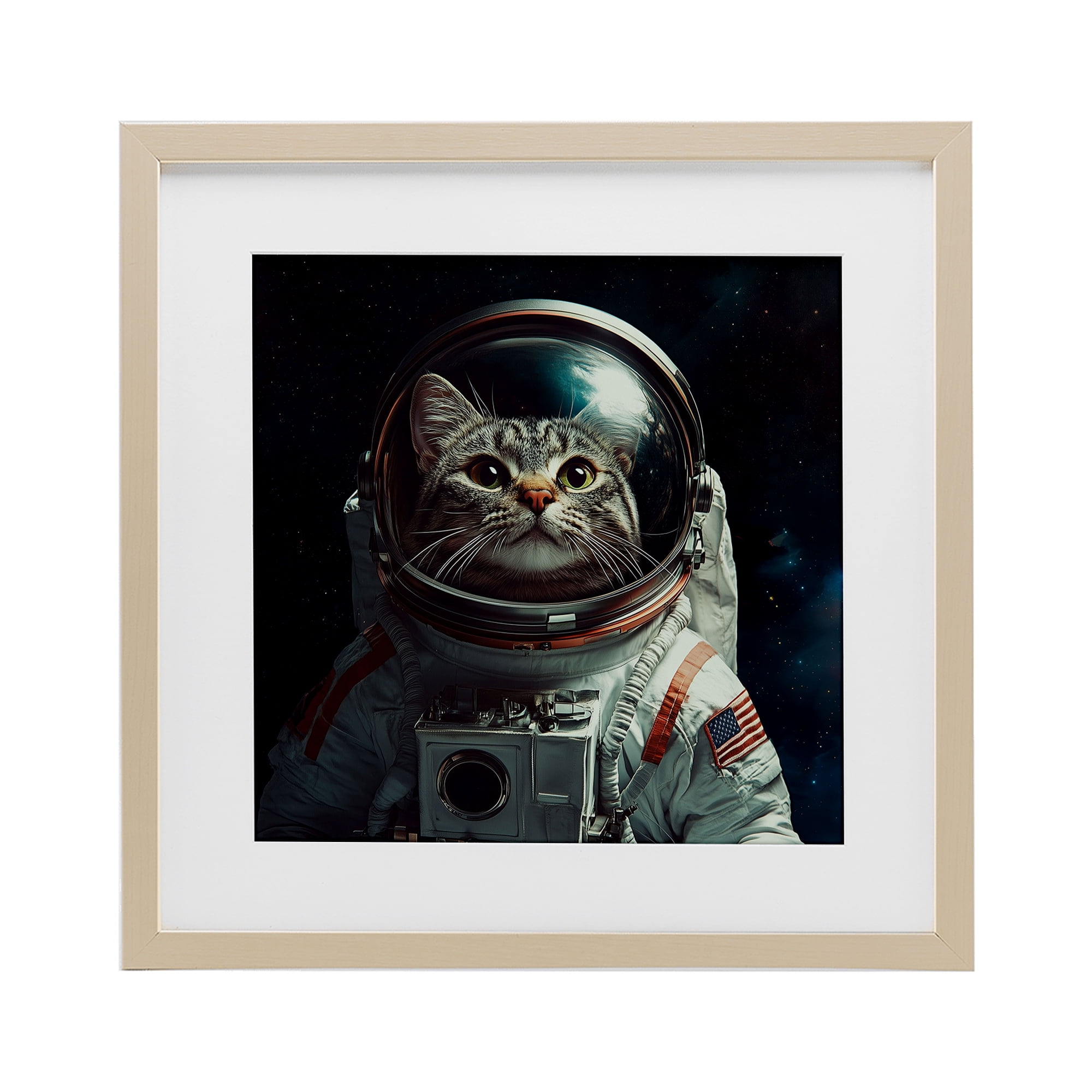 Catstronaut Cat Astronaut Birch Framed Print Under Glass, design by Jim Baldwin