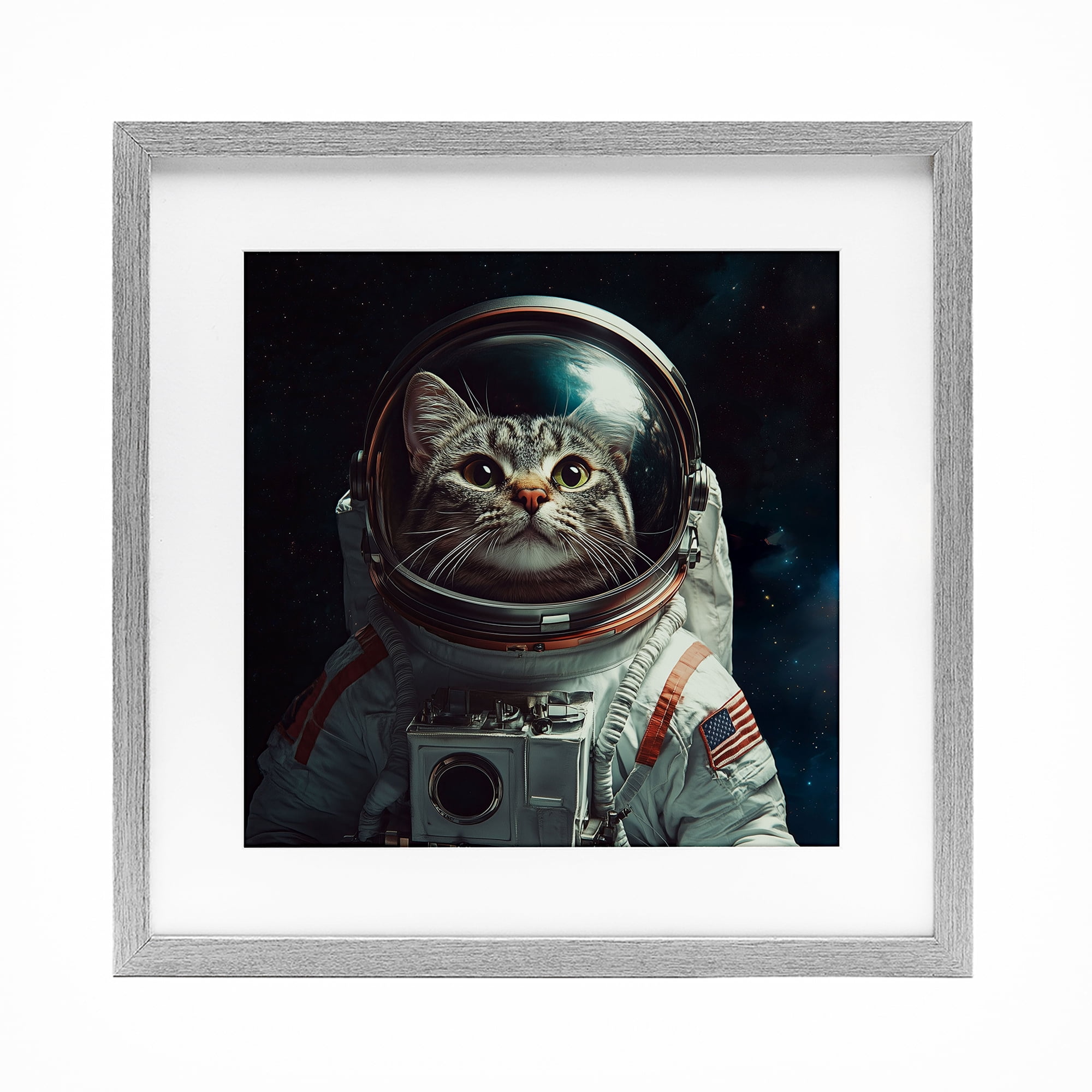 Catstronaut Cat Astronaut Gray Framed Print Under Glass, design by Jim Baldwin