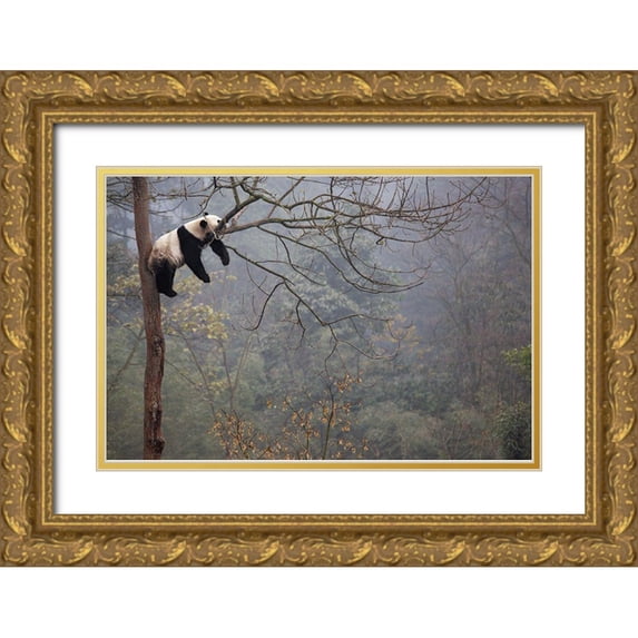 Catta, Alessandro 14x11 Gold Ornate Wood Framed with Double Matting Museum Art Print Titled - Lazy Panda
