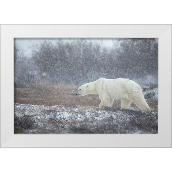 Catta, Alessandro 14x11 White Modern Wood Framed Museum Art Print Titled - Let It Snow!