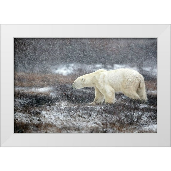 Catta, Alessandro 14x11 White Modern Wood Framed Museum Art Print Titled - Snowing Time