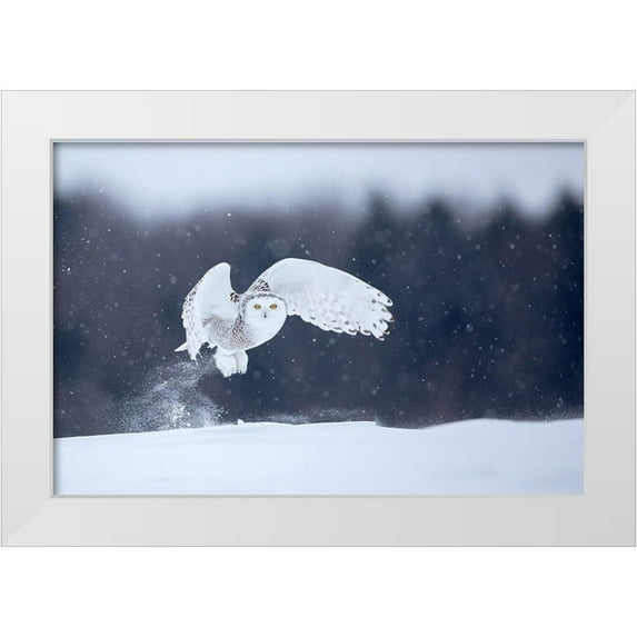 Catta, Alessandro 14x11 White Modern Wood Framed Museum Art Print Titled - Yellow Eyes
