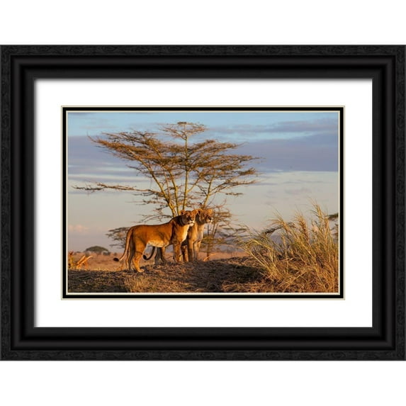 Catta, Alessandro 24x17 Black Ornate Wood Framed with Double Matting Museum Art Print Titled - Sisters