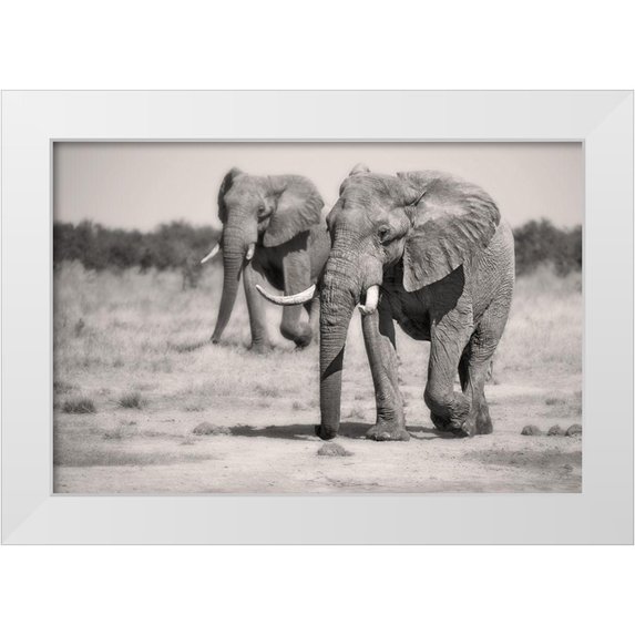 Catta, Alessandro 24x17 White Modern Wood Framed Museum Art Print Titled - Twin Elephants