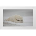 thumbnail image 1 of Catta, Alessandro 32x20 White Modern Wood Framed Museum Art Print Titled - Now You See Me, 1 of 4