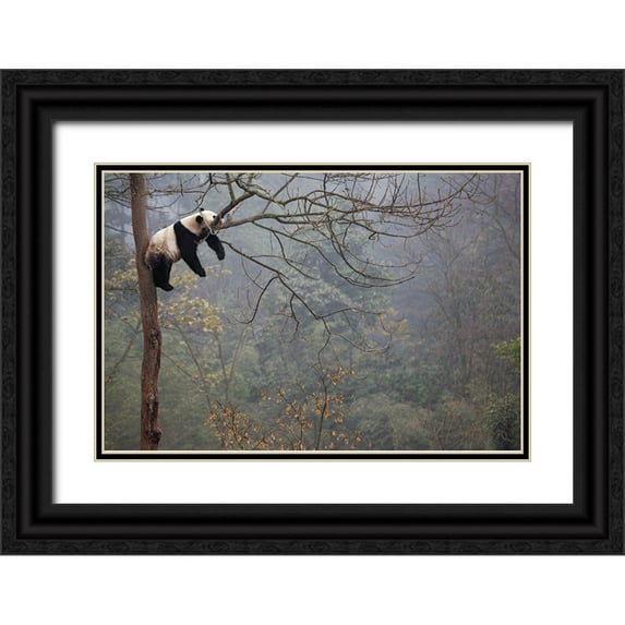 Catta, Alessandro 32x23 Black Ornate Wood Framed with Double Matting Museum Art Print Titled - Lazy Panda