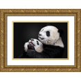 thumbnail image 1 of Catta, Alessandro 32x23 Gold Ornate Wood Framed with Double Matting Museum Art Print Titled - Pandas, 1 of 4