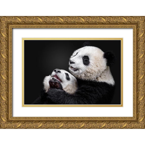 Catta, Alessandro 32x23 Gold Ornate Wood Framed with Double Matting Museum Art Print Titled - Pandas