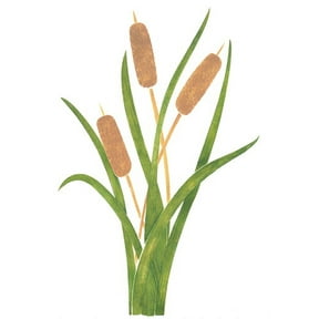 Cattails Wall Stencil -E163 by Designer Stencils