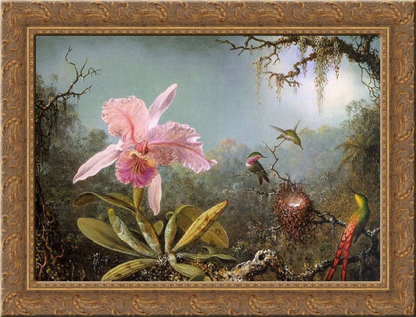 Cattelya Orchid and Three Brazilian Hummingbirds 24x20 Gold Ornate Wood ...