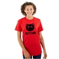 thumbnail image 1 of Cattitude Funny Cat Ladies Pet Lovers Women's Plus Size Graphic Tee Brisco Brands 2X, 1 of 5