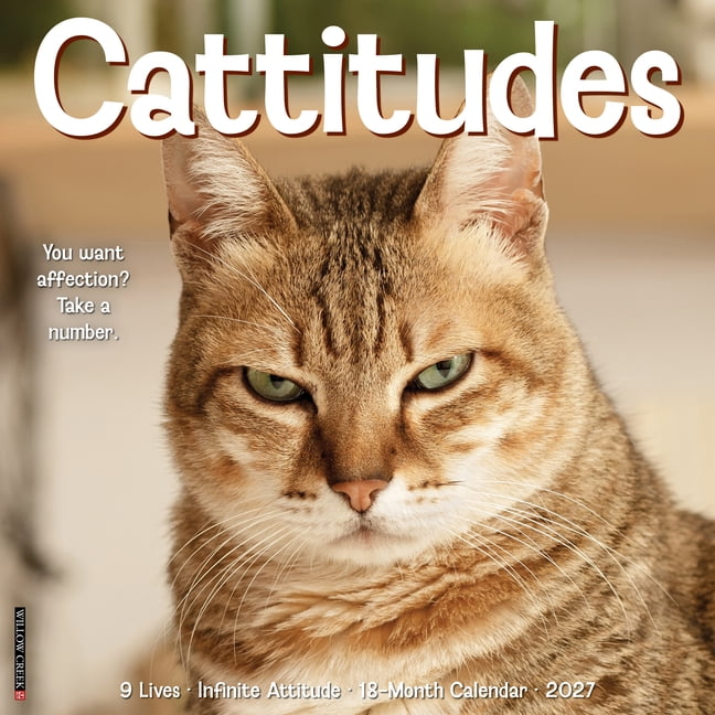 Cattitudes 2027 12 X 12 Wall Calendar, (Paperback)
