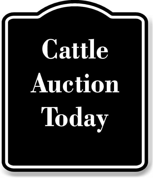 Cattle Auction Today BLACK Aluminum Composite Sign 20''x24'' - Walmart.com