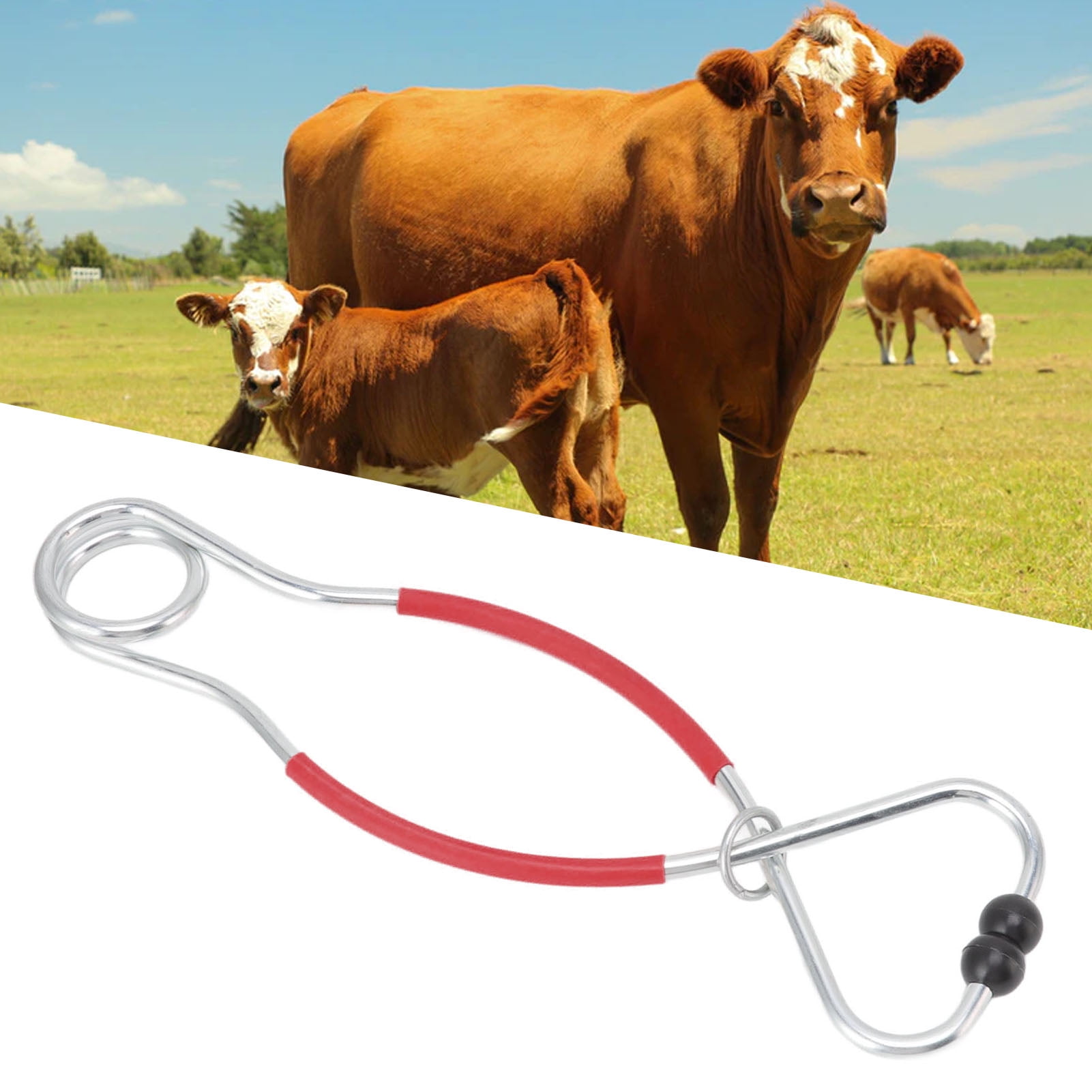 Cattle Bull Cow Nose Metal Punch Strong Traction Cow Pulling Tool, Bull